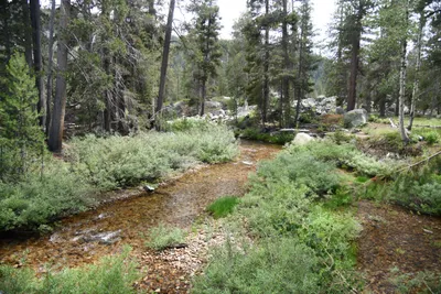 DSC_4380 (Large).JPG